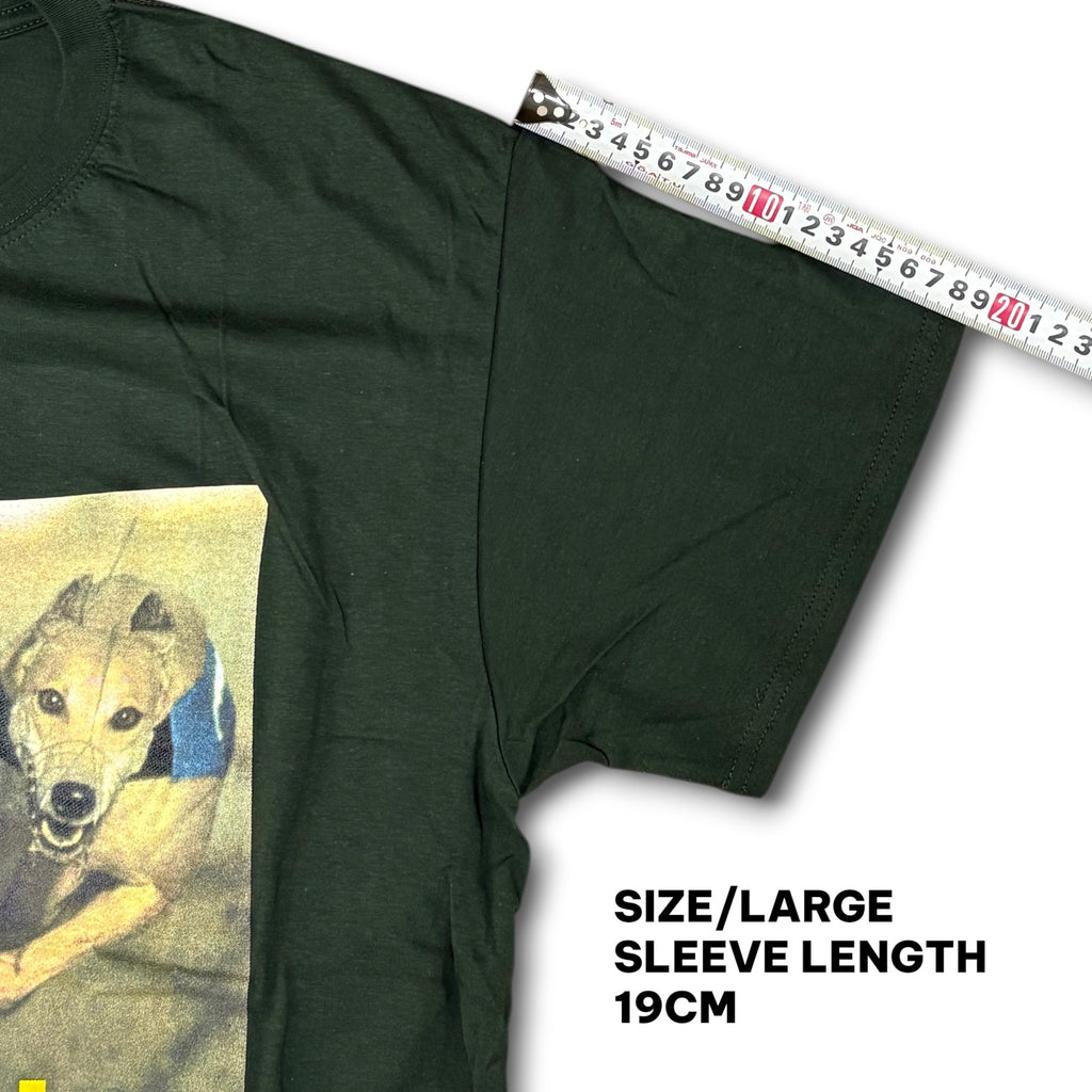 BLUR / PARK LIFE T-SHIRTS