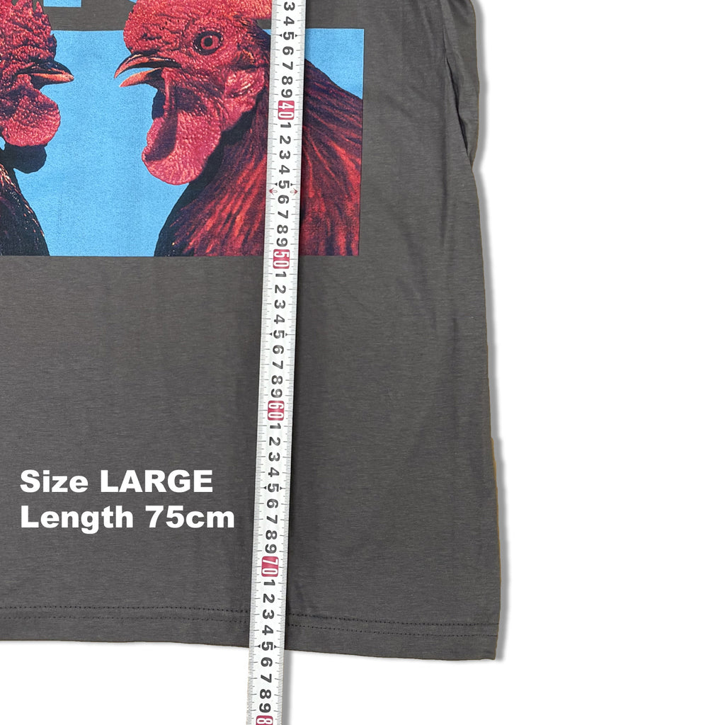 BLUR / HENS TEETH T-SHIRTS