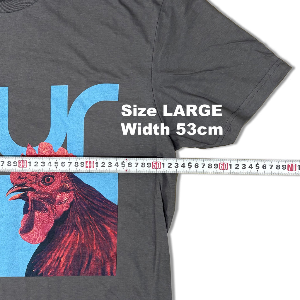BLUR / HENS TEETH T-SHIRTS