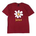 JAMES / DAISY LOGO T-SHIRTS