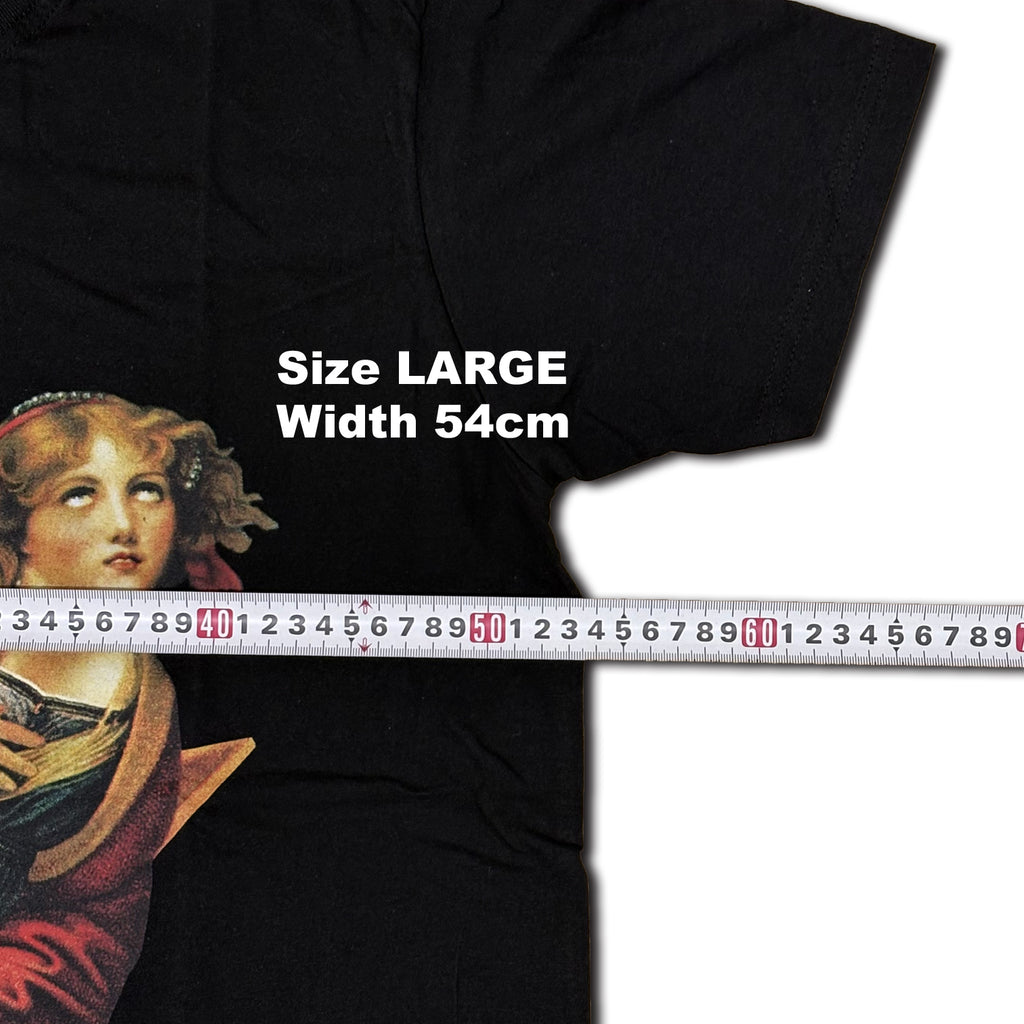 THE SMASHING PUMPKINS / MELLON COLLIE T-SHIRTS