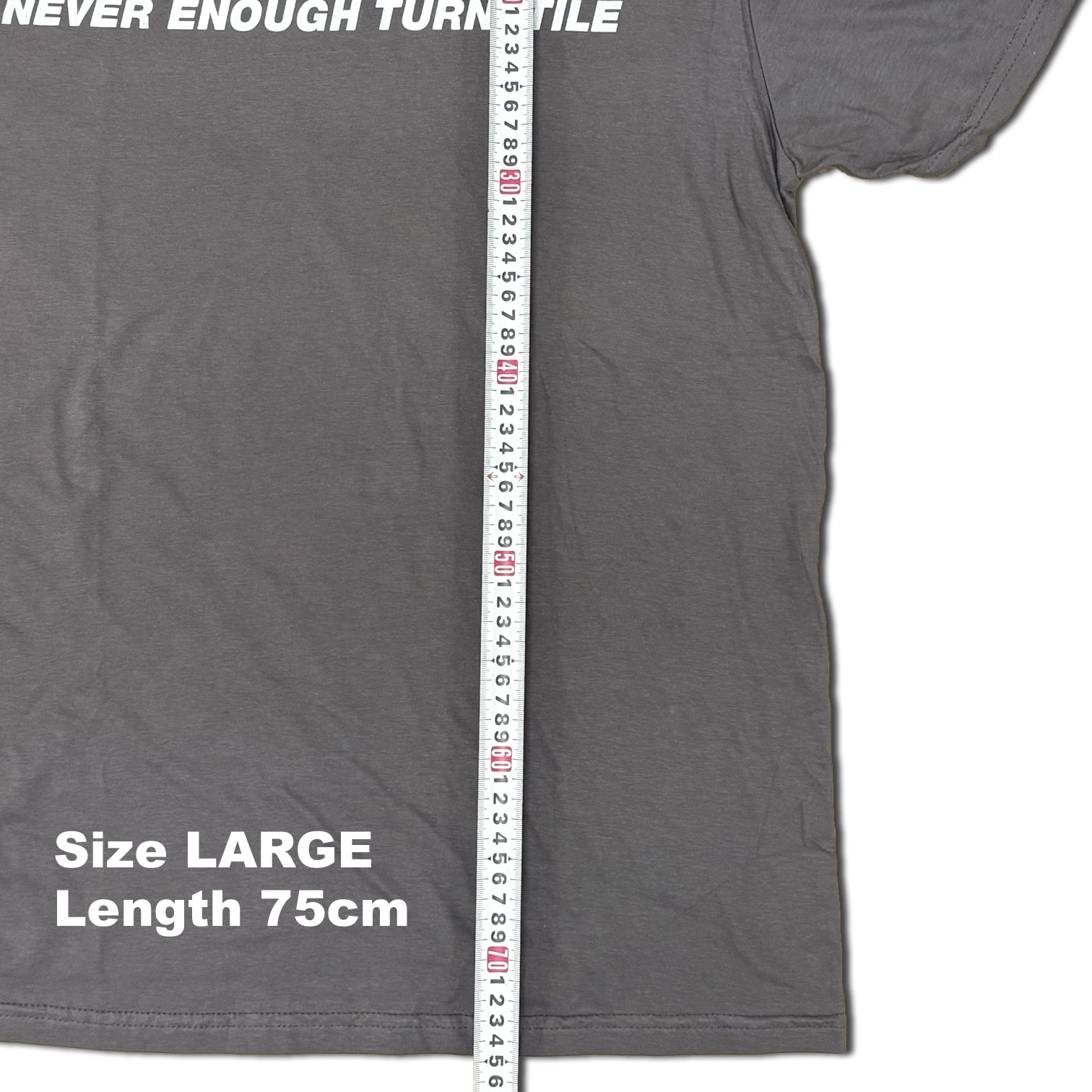 TURNSTILE / RIGHT PLACE RIGHT TIME T-SHIRTS (GILDAN BODY)